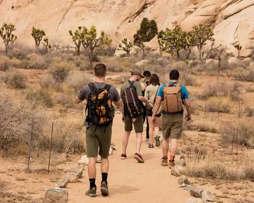 Go Abroad Migration service